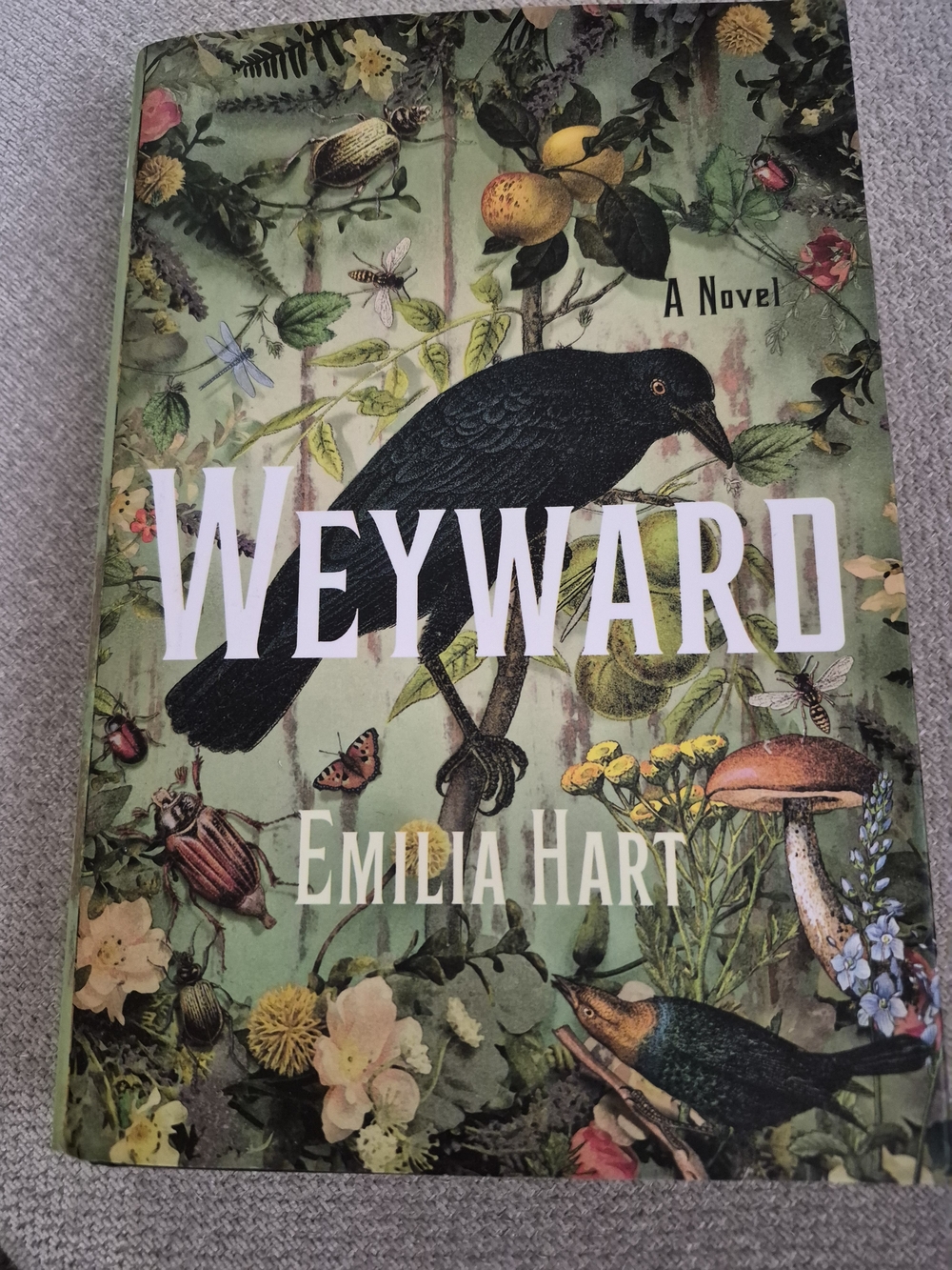 Weyward By Emilia Hart